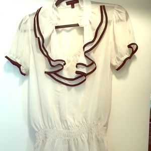 The Limited (sheer) blouse